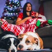 SALTEA MAGNETIC CARE TURCOAZ, VETEXPERT MARIMEA S 61X 46CM