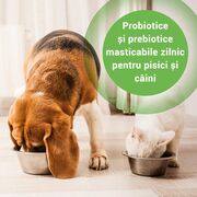 PRO BALANCE PROBIOTIC CAINI SI PISICI - 30 TABLETE MASTICABILE