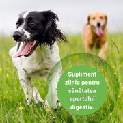 PRO BALANCE PROBIOTIC CAINI SI PISICI - 30 TABLETE MASTICABILE