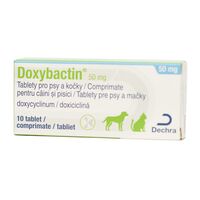 Doxybactin 50 mg - 10 Tablete Caine si Pisica