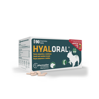 Hyaloral Small & Medium Breed - 90 Tablete
