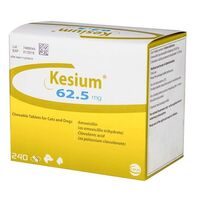 KESIUM 62.5 MG (AMOXY + ACID CLAVULANIC) - 240 TABLETE PALATABILE