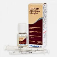 LOXICOM 0.5 MG - 15 ML