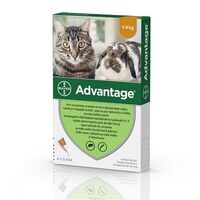 ADVANTAGE 40 PISICA SI IEPURE (< 4 KG) - 4 PIPETE