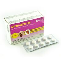 ARTRO-VET B 100 MG - 100 COMPRIMATE