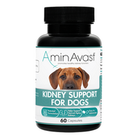 AminAvast Dog 1000 mg - 60 Capsule