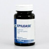 EPILEASE 250 MG - 60 CAPSULE