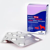 NOROCLAV 250 MG  - 5 TABLETE MASTICABILE