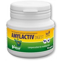 AMYLACTIV DIGEST - 90 CAPSULE