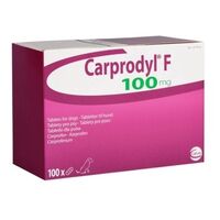 CARPRODYL QUADRI 120 MG - 6 COMPRIMATE BLISTER