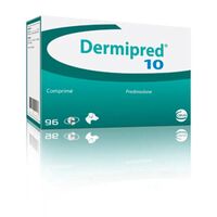 DERMIPRED - 10 MG