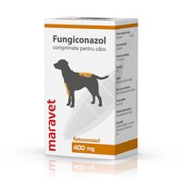 Fungiconazol 400 mg - 100 Tablete