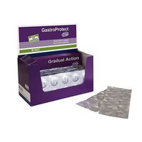 GASTROPROTECT BLISTER - 10 TABLETE