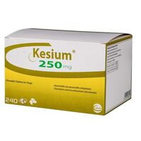 KESIUM 250 MG (AMOXY + ACID CLAVULANIC) - 240 TABLETE PALATABILE
