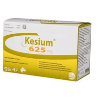KESIUM 625 MG (AMOXY + ACID CLAVULANIC) - 6 TABLETE PALATABILE