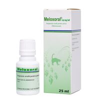 Meloxoral 25 ml - 0.5 mg/ml