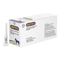 NEPTRA - PICATURI AURICULARE PENTRU CAINI 1 ML x 10 PIPETE