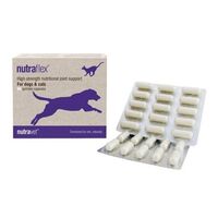 NUTRAVET NUTRAFLEX CAINI &amp; PISICI - 60 CAPSULE
