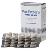 PROTEXIN PRO-ENZORB -  60 CAPSULE