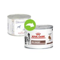 Royal Canin Recovery Canine &amp; Feline - 195 g