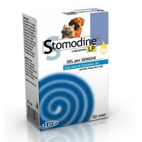 STOMODINE LONG PERIOD GEL - 50 ML