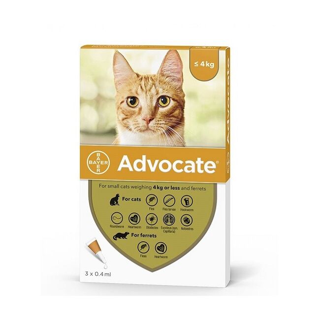 ADVOCATE 40 PISICA CAT (0 - 4 KG) - 3 PIPETE