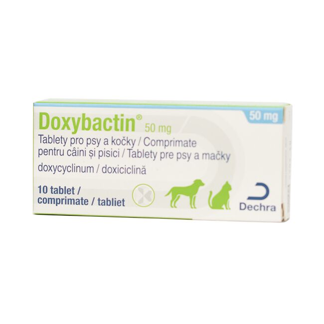 Doxybactin 50 mg - 10 Tablete Caine si Pisica
