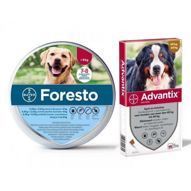 Foresto L + Advantix 40-60 KG PACHET