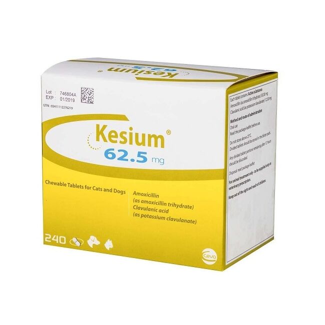 KESIUM 62.5 MG (AMOXY + ACID CLAVULANIC) - 240 TABLETE PALATABILE