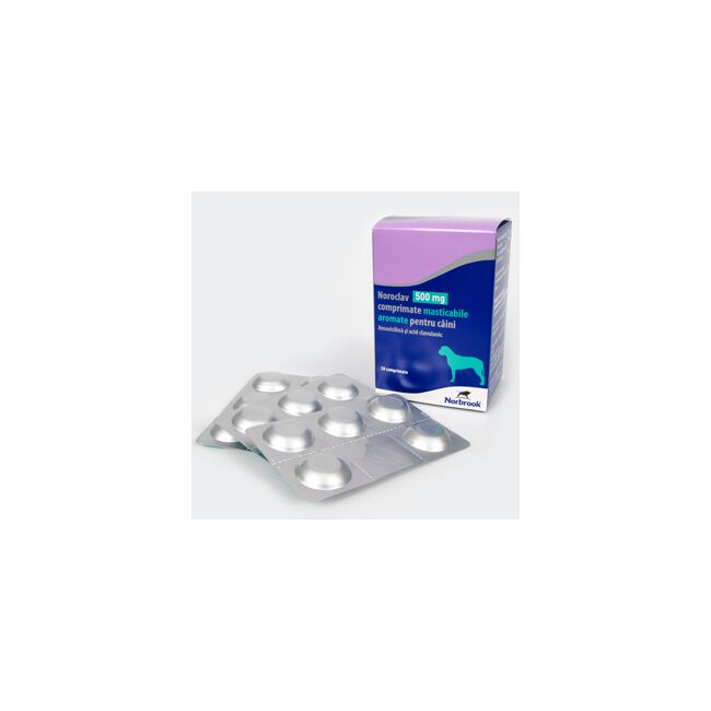 NOROCLAV 500 MG - 5 TABLETE MASTICABILE