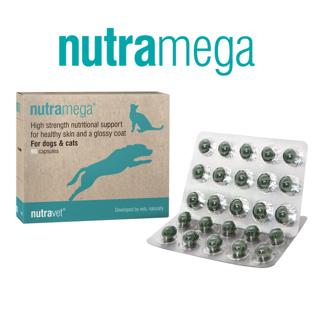 Nutramega – 45  Capsule ( nutracoat )