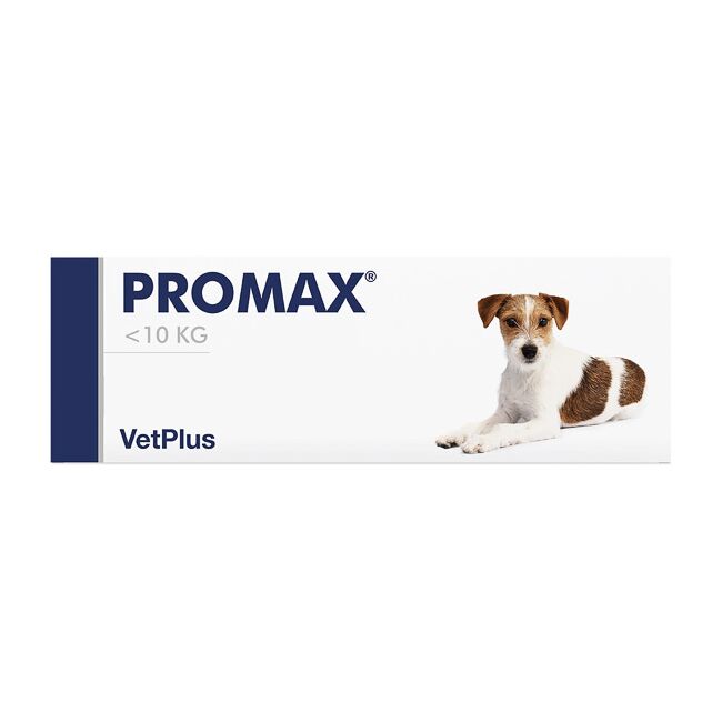 PROMAX PISICA SI CAINE TALIE MICA <10 KG