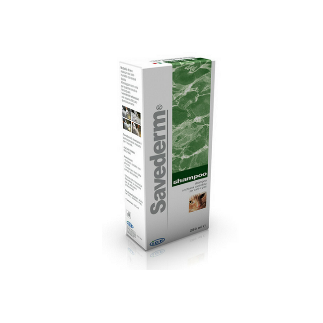 SAVEDERM SAMPON - 250 ML