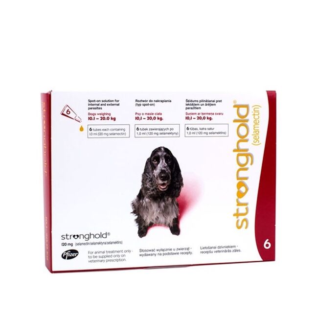 STRONGHOLD CAINE 120MG (10,1 - 20 KG) - 3 PIPETE