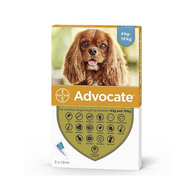 ADVOCATE 100 CAINE (4-10 KG) - 3 PIPETE