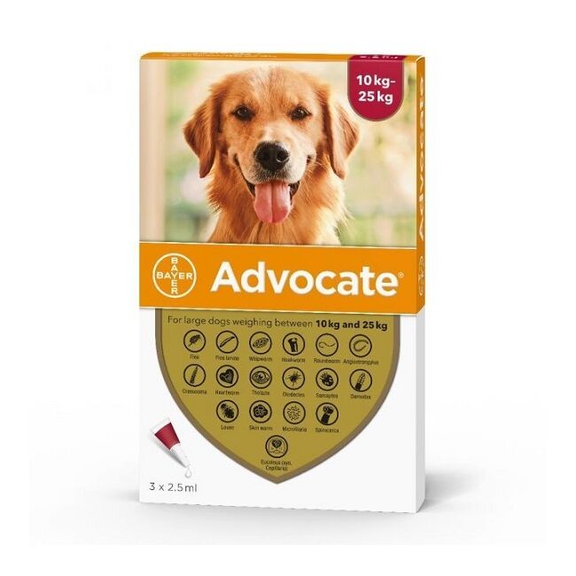 ADVOCATE 250 CAINE (10 - 25 KG) - 3 PIPETE