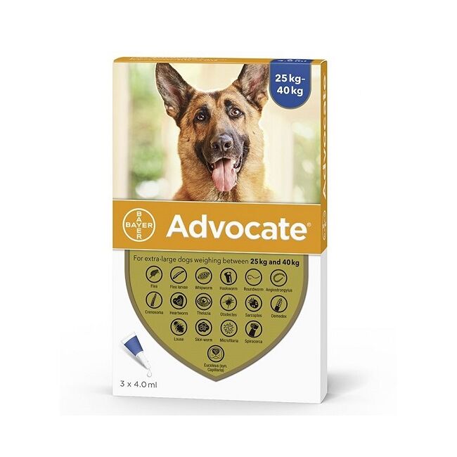 ADVOCATE 400 CAINE (25-40 KG) - 3 PIPETE