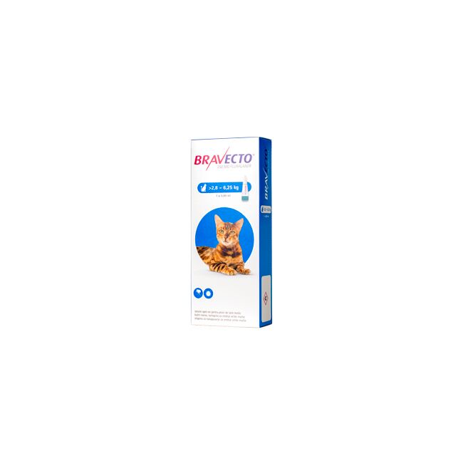 BRAVECTO 250 MG - SOLUTIE SPOT-ON PENTRU PISICI DE TALIE MEDIE (2.8 - 6.25 KG)