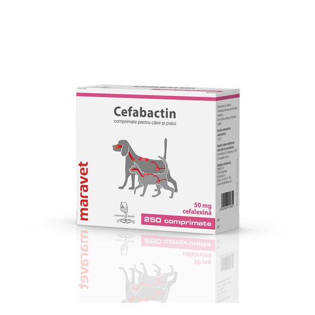Cefabactin 50 mg 25x10 tab