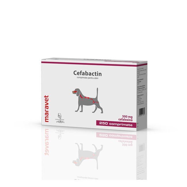 Cefabactin 500 mg 25x10 tab