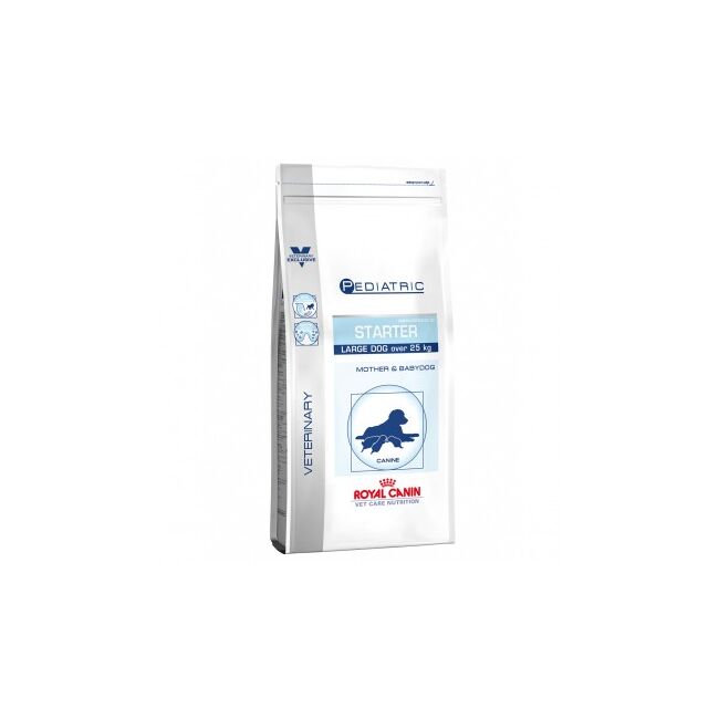 Royal Canin Pediatric Starter Large Dog - 4 Kg