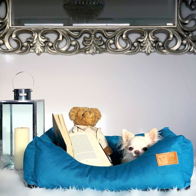 SOFA MAGNETIC CARE TURCOAZ VETEXPERT MARIMEA M 75 X 65 CM