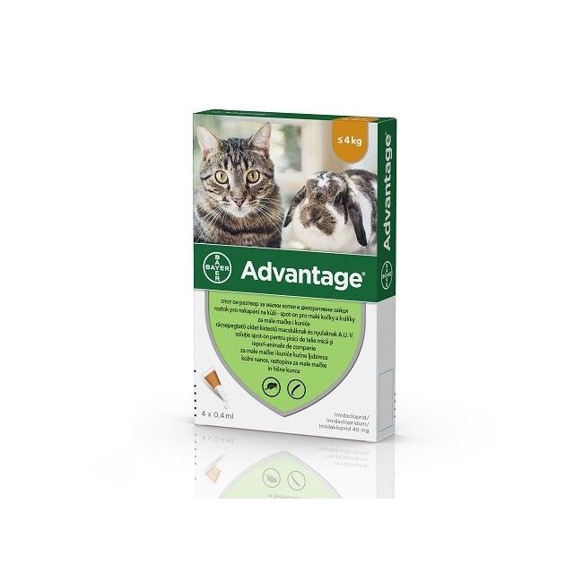 ADVANTAGE 40 PISICA SI IEPURE (< 4 KG) - 4 PIPETE
