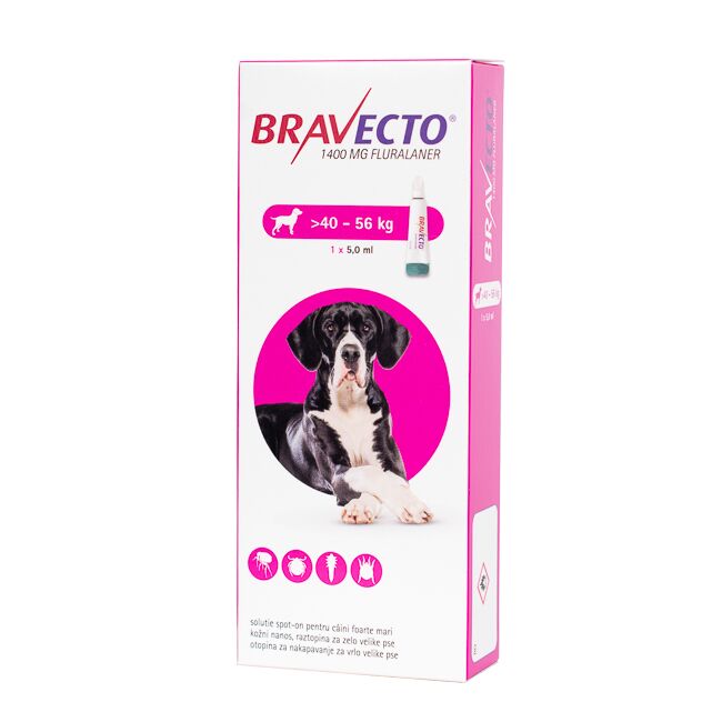 BRAVECTO CAINE SOLUTIE SPOT-ON XL 1400MG (40-56 KG) - 1 PIPETA