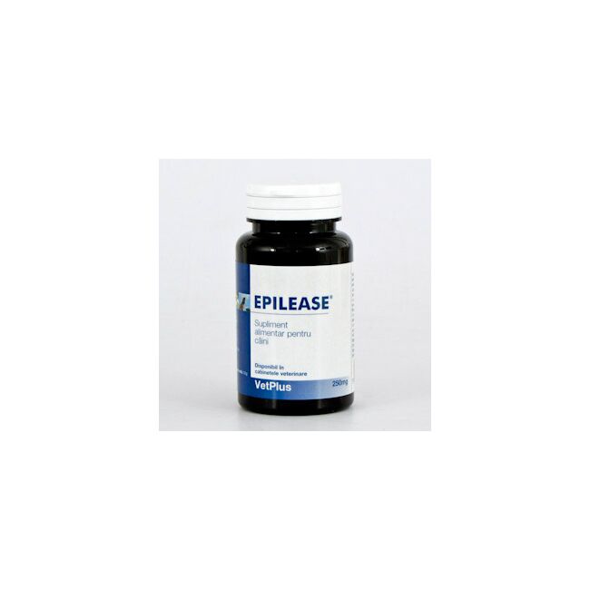EPILEASE 250 MG - 60 CAPSULE