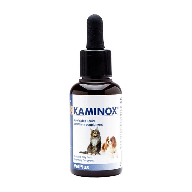 KAMINOX - 60 ML