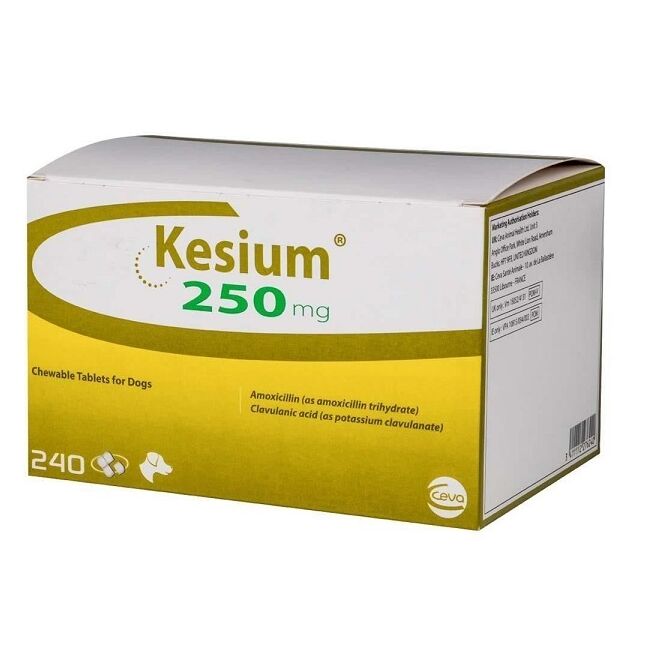 KESIUM 250 MG (AMOXY + ACID CLAVULANIC) - 8 TABLETE PALATABILE