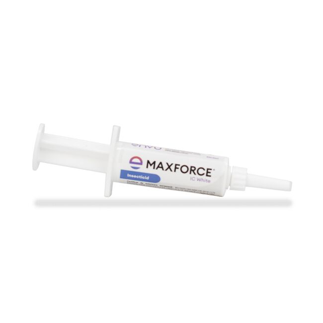 Max Force IC White 5 g - GEL INSECTICID