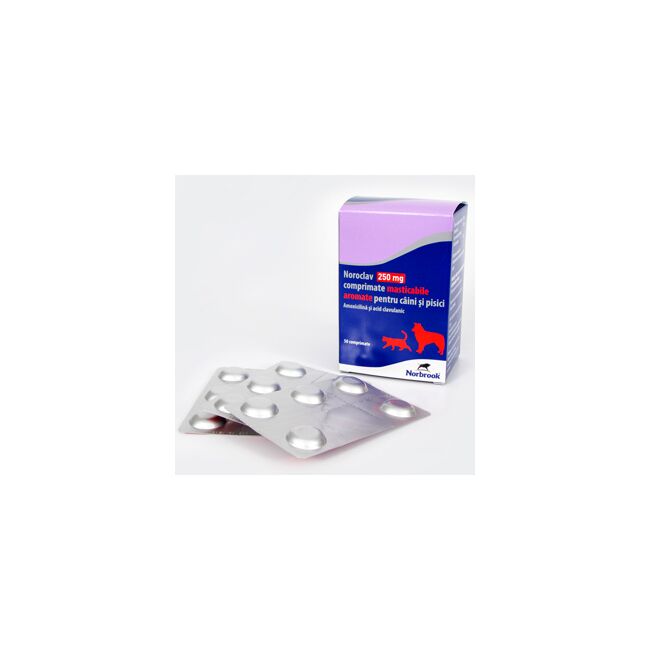 NOROCLAV 250 MG  - 5 TABLETE MASTICABILE