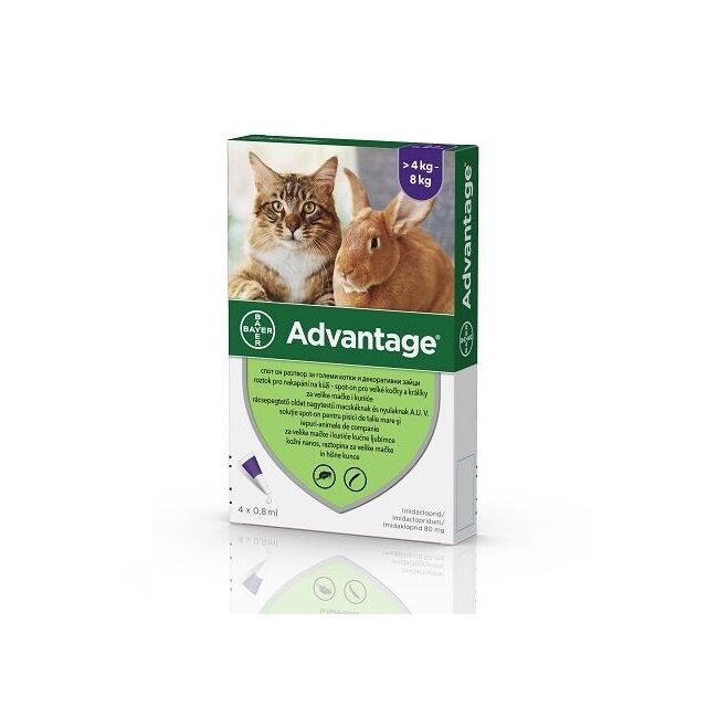 ADVANTAGE 80 PISICA SI IEPURE (> 4 KG) - 4 PIPETE